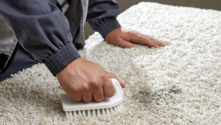 Professional Rug Cleaning Warrenheip